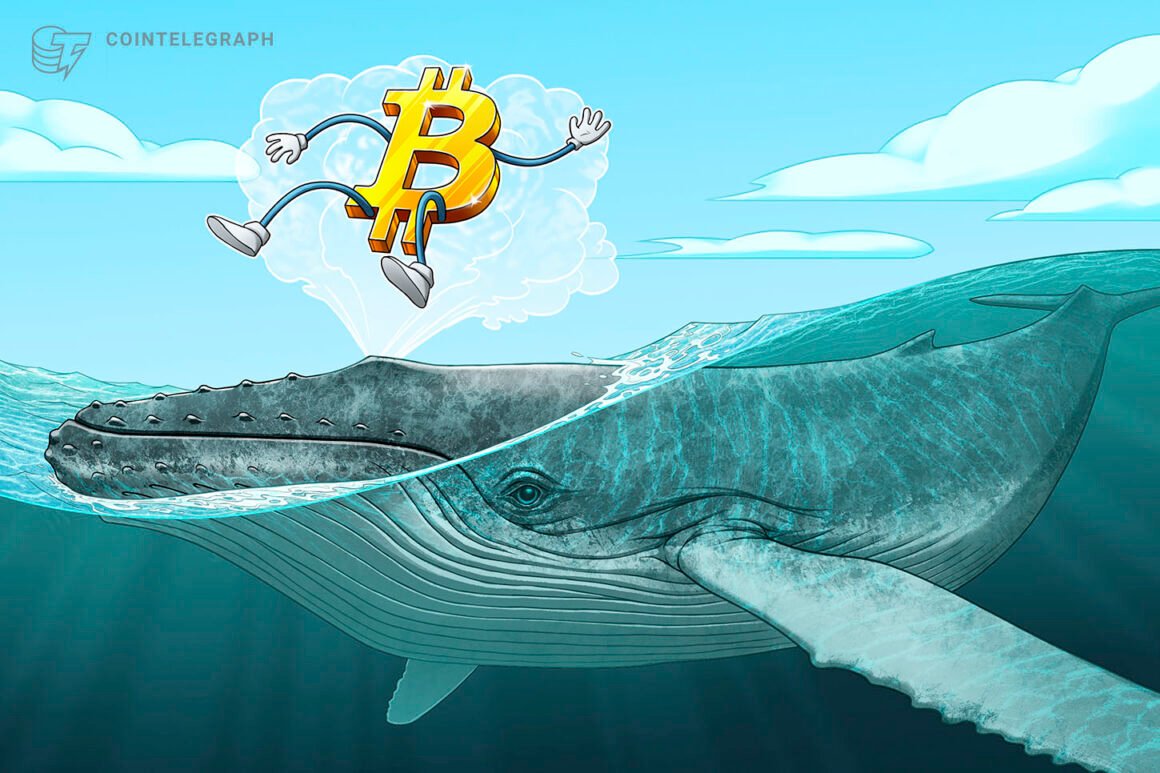 Bitcoin OG selling eases as dormant BTC movement hits 4-year low: Thorn