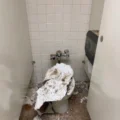 Mice, a Caved-In Ceiling, and Cloudy Water: The GSA’s New Office Is Falling Apart